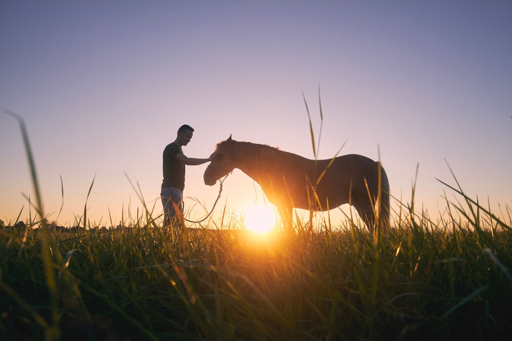 man bonding with a horse