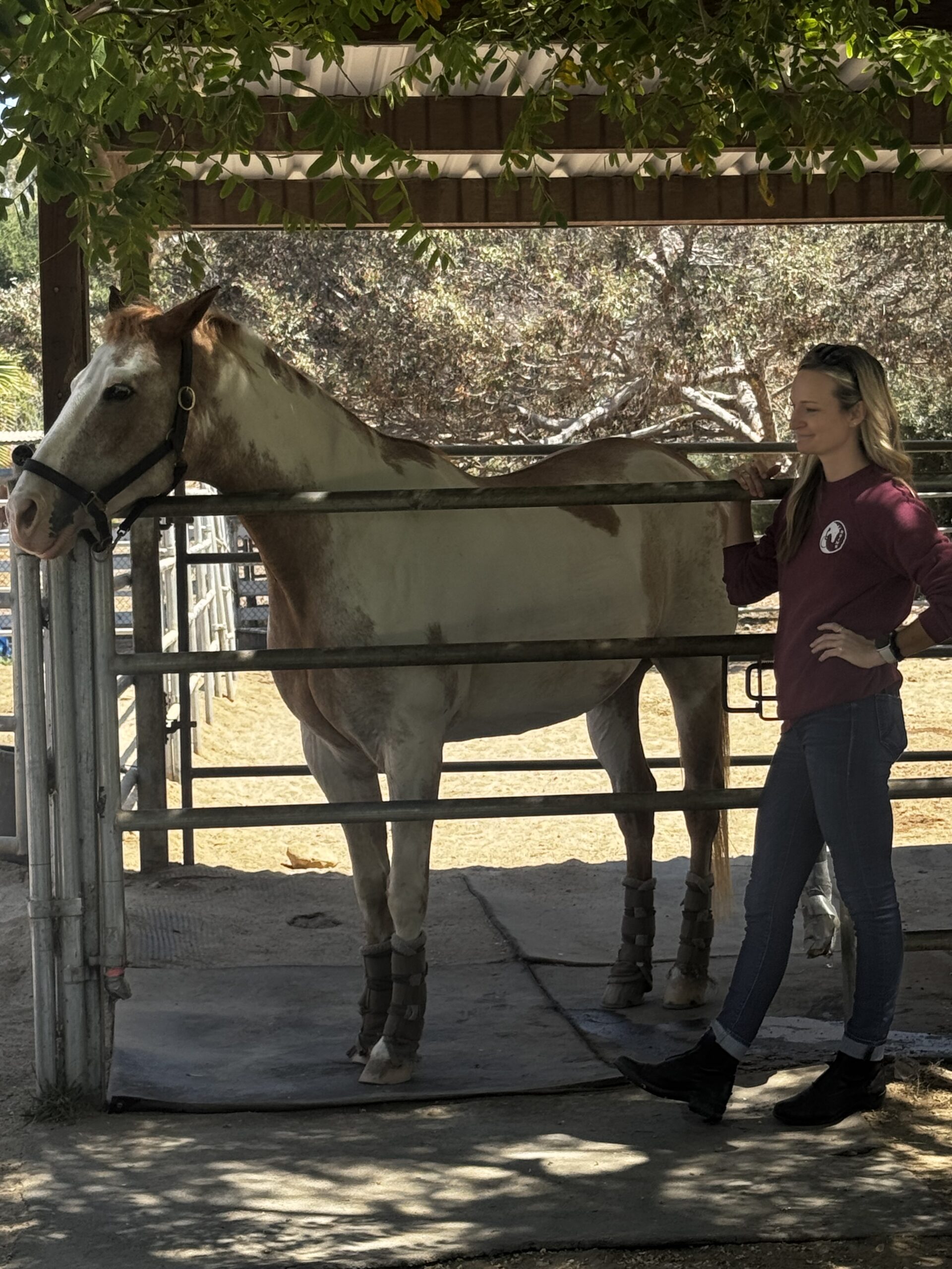 IMG_0098 Equine therapy at California Healing Centers